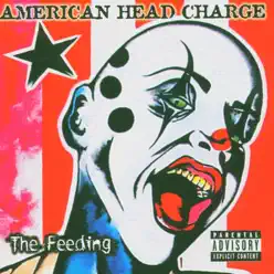The Feeling - American Head Charge