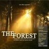 The Forest Chill Lounge (Deep Ambient Chillout Lounge Electronic Downbeat Moods), 2012