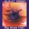 Jimmy Reed - Baby What's Wrong