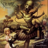 Screaming Trees - Bed of Roses