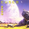 Cusco - Flying Condor