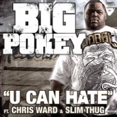 U Can Hate (feat. Chris Ward & Slim Thug) artwork