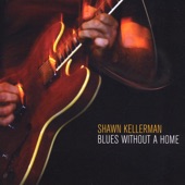 Blues Without a Home artwork