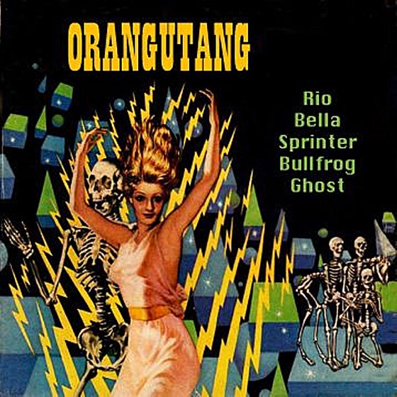 Cover artwork for Rio