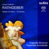 Concerti Aus "Chelys Sonora", Op. 6: Concerto VI In D Für Violine, Streicher Und Basso Continuo artwork