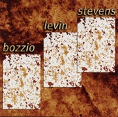 Bozzio Levin Stevens - Endless