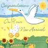 Congratulations On Your New Arrival