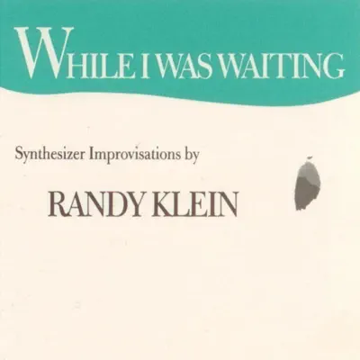 While I Was Waiting - Randy Klein