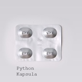 Kapsula (Nicholas Van Orton Remix) artwork
