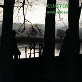 Cluster - Zum Wohl
