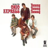 The Best of the Ohio Express artwork
