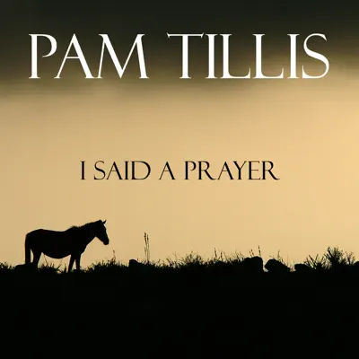 I Said a Prayer (Live) - Pam Tillis