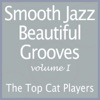 Smooth Jazz Beautiful Grooves Volume 1 - EP