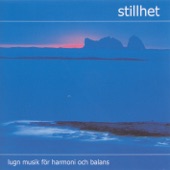 Stillhet 1 (Stillness 1) artwork
