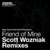 Friend of Mine : The Scott Wozniak Remixes album lyrics, reviews, download