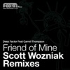 Friend of Mine : The Scott Wozniak Remixes