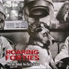 The Roaring Forties - Outro