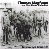 Chimurenga Explosion artwork