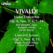Violin Concerto in B flat major, Op. 8, No. 10, RV 362, "La caccia": II. Adagio artwork