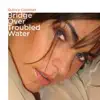 Bridge Over Troubled Water - Single album lyrics, reviews, download