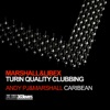 Turin Quality Clubbing