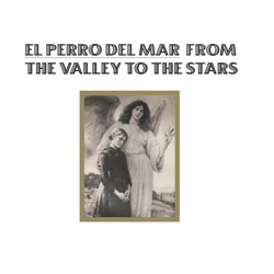 El Perro del Mar - Into the Sunshine