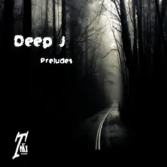 Preludes by Deep J album reviews, ratings, credits
