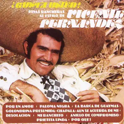 ¿Gusta Usted? Joyas Rancheras al Estilo de Vicente Fernández - Vicente Fernández