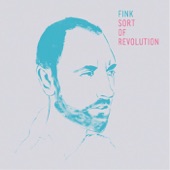 Sort of Revolution by Fink