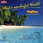 What a Wonderful World artwork