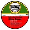 Slow Down (feat. Werd2jah), 2011