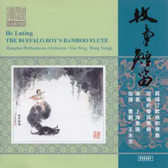 Lullaby by Peng Cao, Shanghai Philharmonic Orchestra & Zhao Xiong song reviws