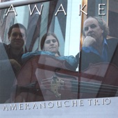 Ameranouche Trio - Thanks to the Gypsy