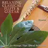 30 Relaxing Classical Flute & Guitar Masterpieces album lyrics, reviews, download