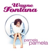 Wayne Fontana - Game of Love (Rerecord)