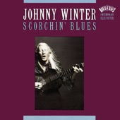 Johnny Winter - It Was Rainin'