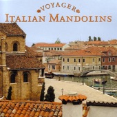 Voyager Series - Italian Mandolins artwork