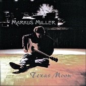 Texas Moon artwork