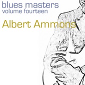 Blues Masters (Volume 14) artwork
