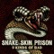 Alcohol of Fame - Snake Skin Prison lyrics