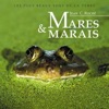 Jean C. Roché & Pierre Palengat - Gallinule poule-d'eau