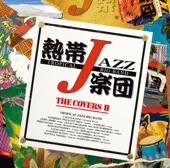 Tropical Jazz Big Band XV - The Covers II artwork