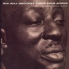 Big Bill Broonzy Sings Folk Songs