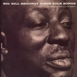 Big Bill Broonzy Sings Folk Songs - Big Bill Broonzy