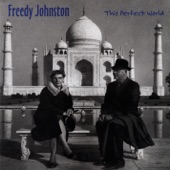 Freedy Johnston - I Can Hear the Laughs