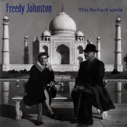 This Perfect World - Freedy Johnston