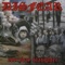 ...In Fear - Disfear lyrics