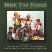 Irish Pub Songs Collection artwork