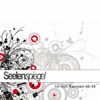 Seelenspiegel - Am Ende Des Tages