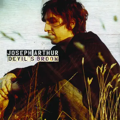 Devil's Broom (Acoustic Version) - Single - Joseph Arthur